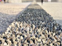 -侵华日军南京大屠杀遇难同胞纪念馆-停车场