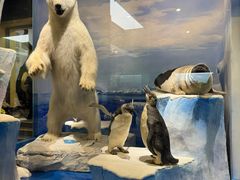 -国家自然博物馆