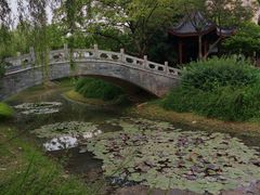 -堤角公园