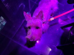 -音乐派KTV(银泰城店)