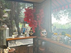 -柴犬高等学院·狗咖·柴犬售卖·宠物训练