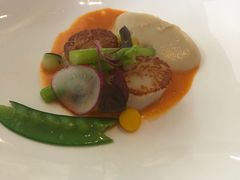 -蝶舍·MAISON PAPILLON