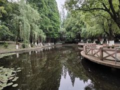 -南京古林公园