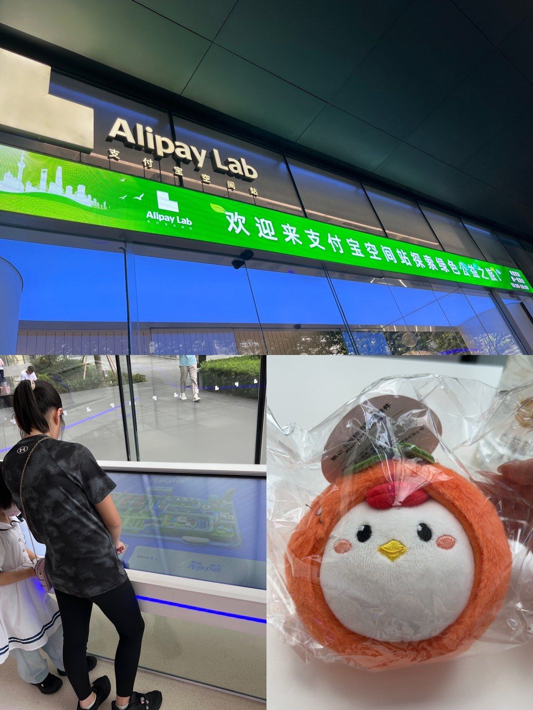 走近支付宝空间站,拿下蚂蚁庄园的小鸡!