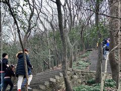 -紫金山山顶公园