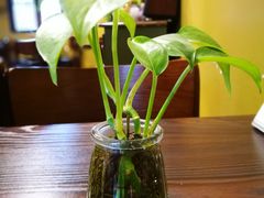 -狐狸家·酸奶酪专门店(平江路店)