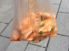 -龙津风雨桥