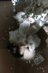 -WAVE SODA摄影工作室