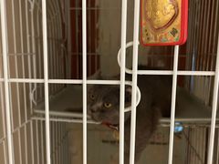 -SeekSeeking咖啡专门店(堰塘街店)