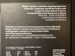 -花马天堂云南餐厅 Lost Heaven(外滩店)