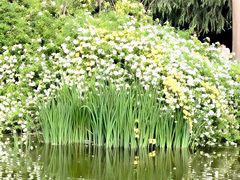 -郑州植物园