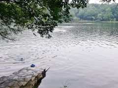 -紫霞湖公园
