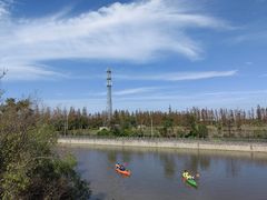 -上海长兴岛郊野公园