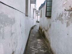 -潘玉麟糖粥