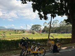 -光明小镇欢乐田园