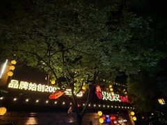 -吴越荣记苏州菜·松鼠桂鱼100%活鱼现做(斜塘老街店)