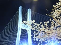 -上海南浦大桥长途旅游客运站