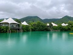 -帐篷客·溪龙茶谷度假酒店