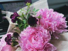 -花房咖啡 FLOWER YIN COFFEE