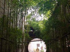 -龙潭水乡