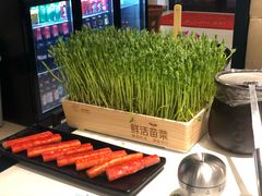 -三不牛腩(宾虹路店)