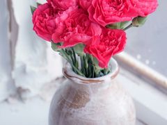 -音皇乐友汇量贩式KTV