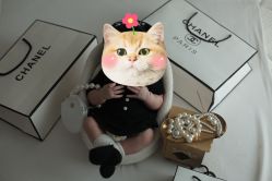 -小熊维尼高端儿童摄影(宝安旗舰店)