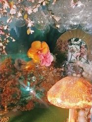 点击看大图 -花开映像儿童摄影
