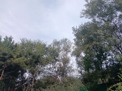 -东升文体公园