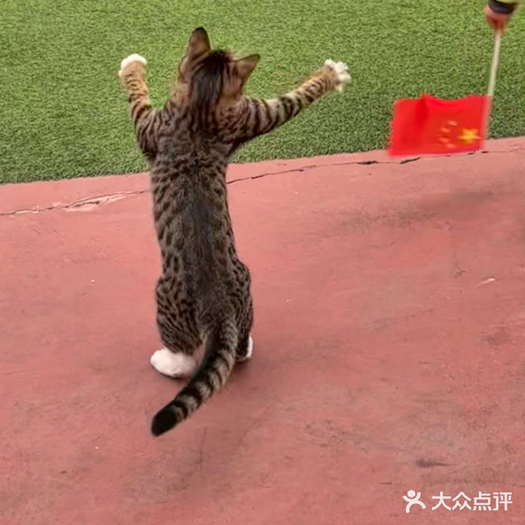 深圳探店｜街头氛围十足的棒球🥎咖啡馆～