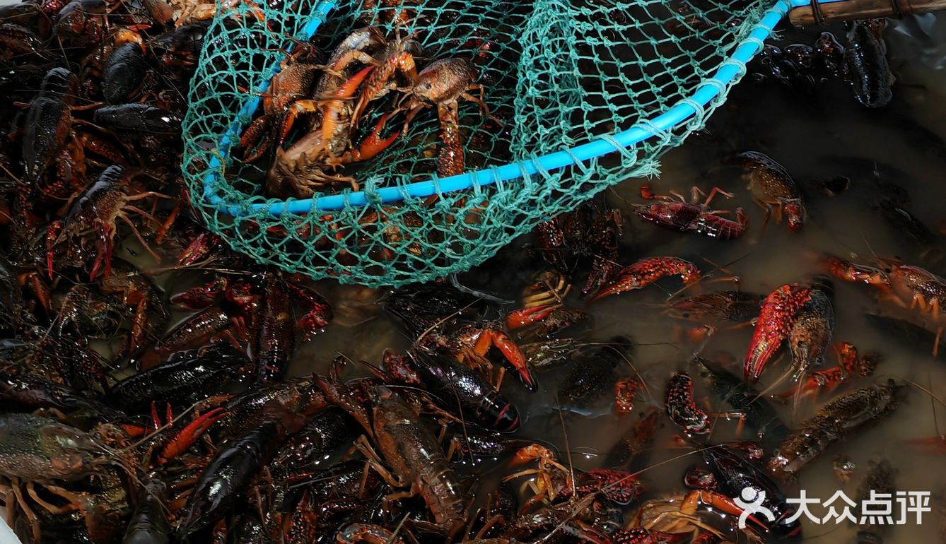 在摄山农贸市场吃到了26年的第一盆龙虾！🦞