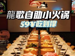-龍歌自助小火锅(李沧顺和汇店)
