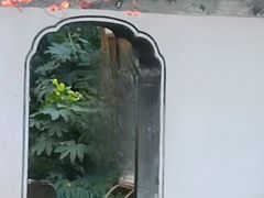 -秋霞圃