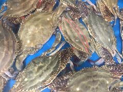 -宾朋海鲜特色美食餐厅·纯手工鲅鱼水饺(兴海路店)