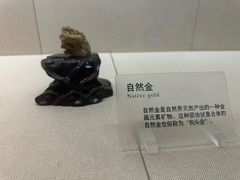 -广东省博物馆