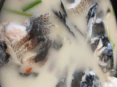 鱼头汤-丰乐餐厅·始于1999(千岛湖店)