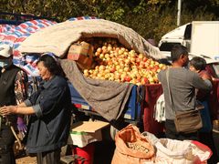 -桃源市场(解放路店)