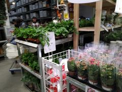 -宜家家居(西安未央商场店)