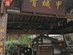 -青城甲(青城山店)