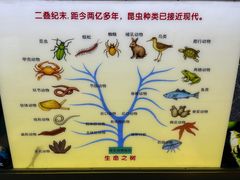 -上海昆虫博物馆