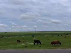 -北极村旅游风景区