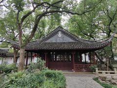 -上海醉白池公园