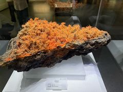 -湖南省地质博物馆