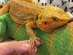 -FAIRYLAND龙族星球主题餐厅(凯丹广场店)