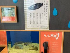 -西海国立公园九十九岛水族馆
