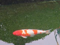 -西安市广仁寺