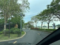 -长洲岛