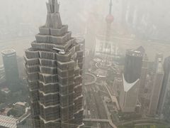 -上海柏悦酒店·世纪100牛排馆