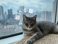 -Catmate·猫肥家润(金润铂宫店)