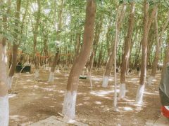 -亲兄弟真人CS团建拓展基地